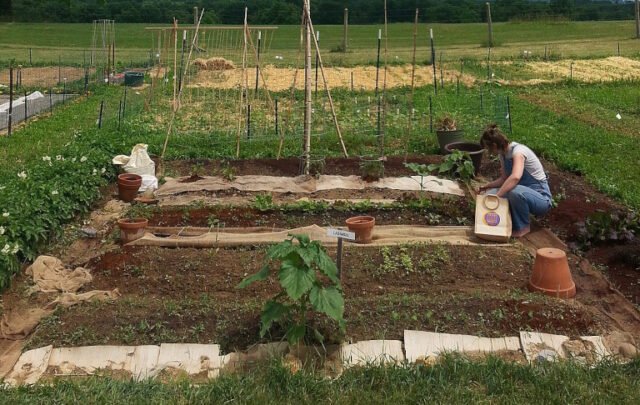 community garden worker