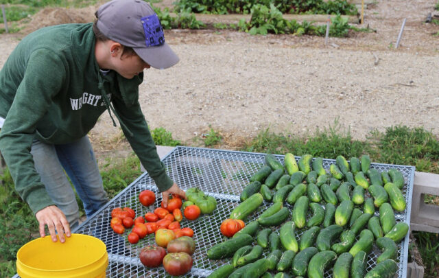Produce from a garden in Rosebud Indian Reservation, South Dakota in 2019.