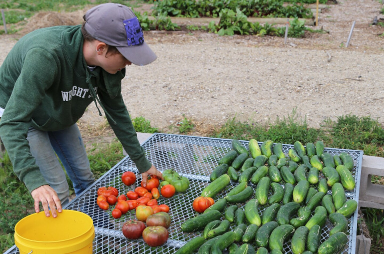 Produce from a garden in Rosebud Indian Reservation, South Dakota in 2019.