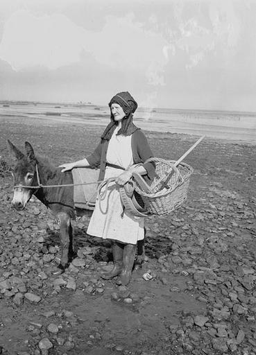 woman collecting cockles