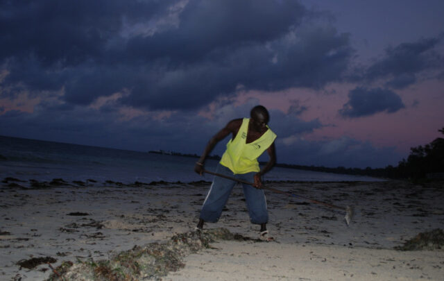 Man cleaning beach for tourists