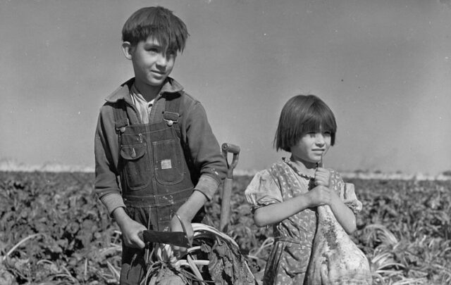 Children and Sugar Beets