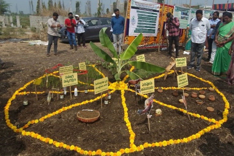 9 principles of Andra Pradesh Community-Managed Natural Farming