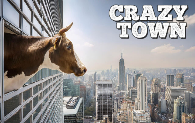 Image of a cow looking out of a skyscraper