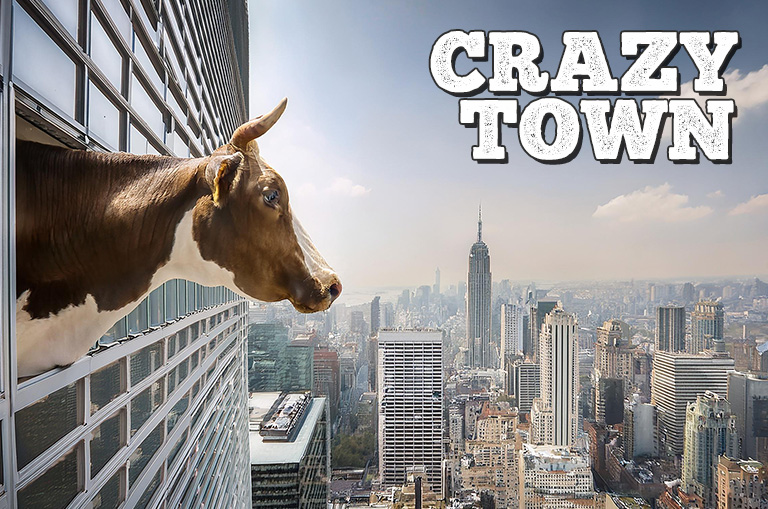 Image of a cow looking out of a skyscraper