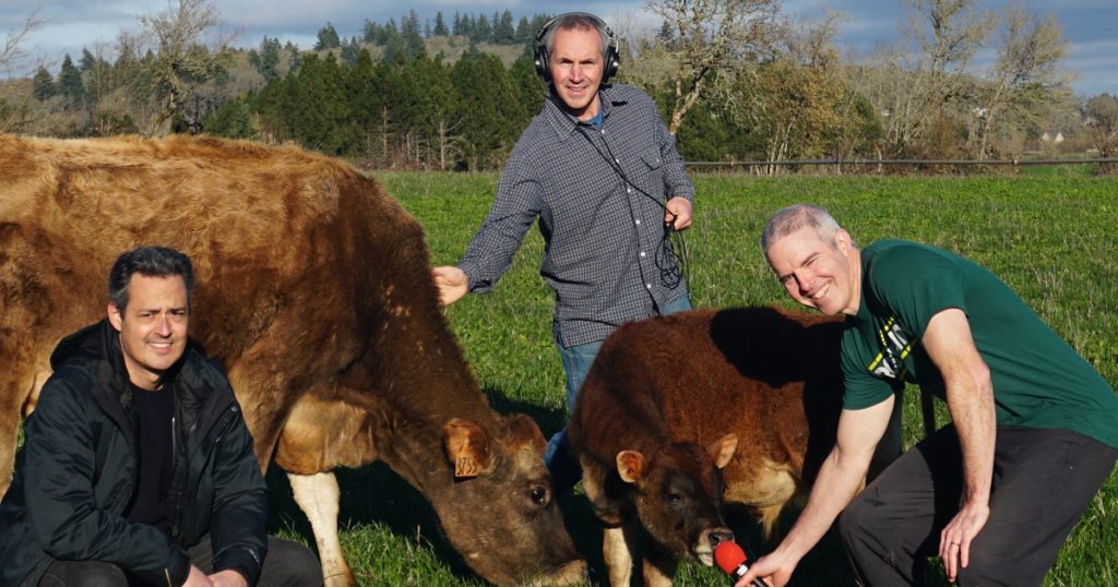 Crazy Town podcast hosts