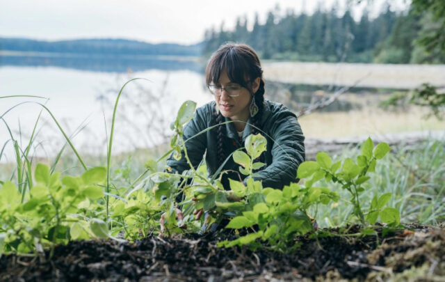 Shaelene Grace Moler showing Tlingit potato