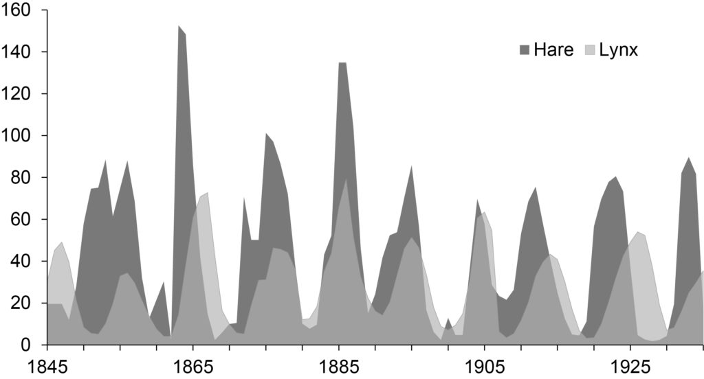 Predator/prey dynamics