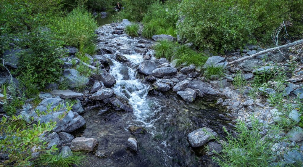 Small stream with rock.