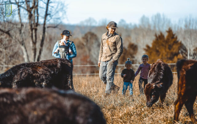 Daniel and others with cows