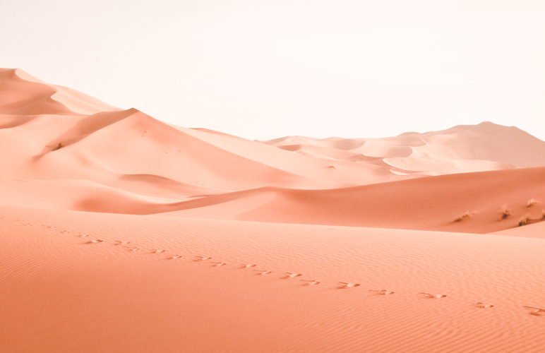 desert