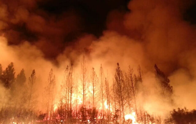 Rim Fire