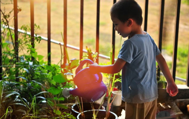 Child watering tree