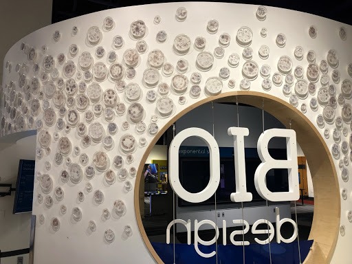 Bio-ink Plankton Cloud, Tech Interactive, permanent participatory installation