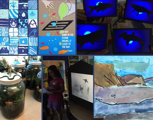 From the Watershed to the Ocean - Sample of Projects