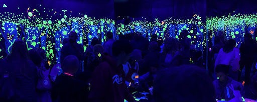 Keep The Rainforest Alive - Santa Cruz Museum of Art (2019)