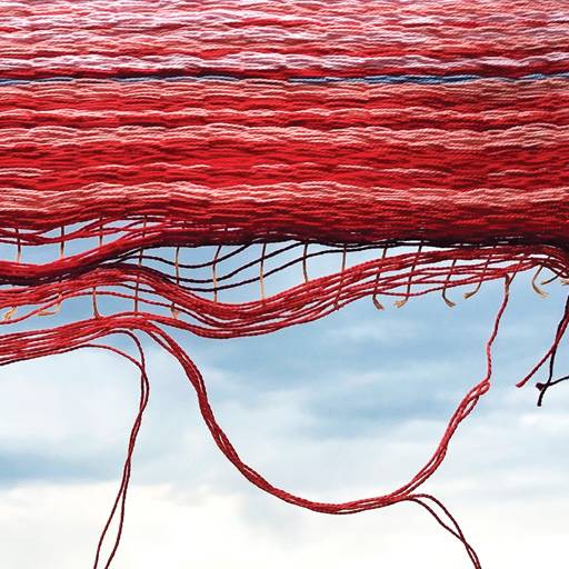 Derivative of The Great Unraveling, (CC by-nc-nd) Michele Guieu