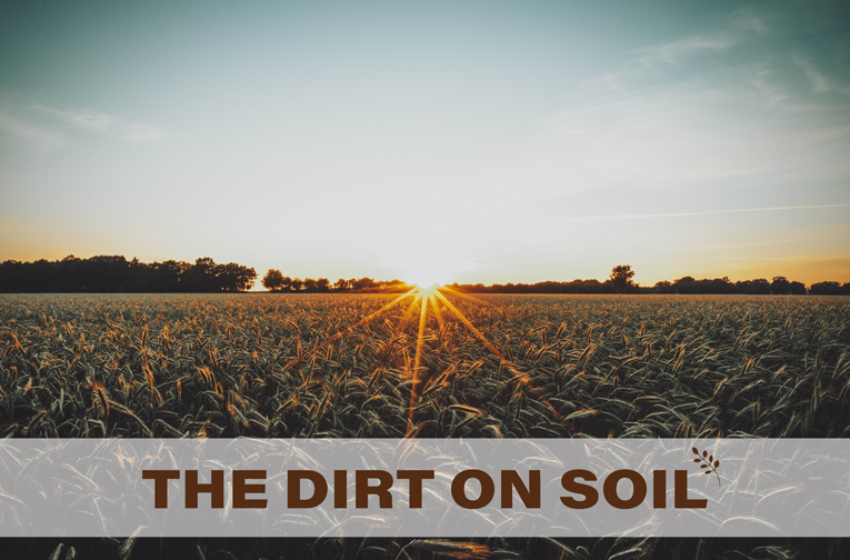 The Dirt on Soil field