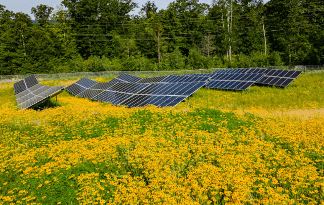 Lunenburg MA community solar farm