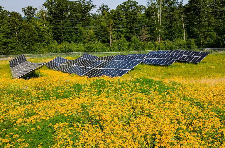 Lunenburg MA community solar farm