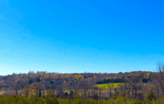 Monroe County Indiana