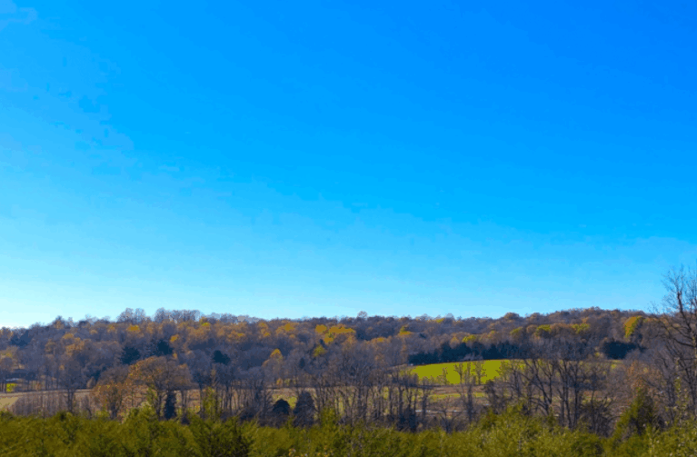 Monroe County Indiana