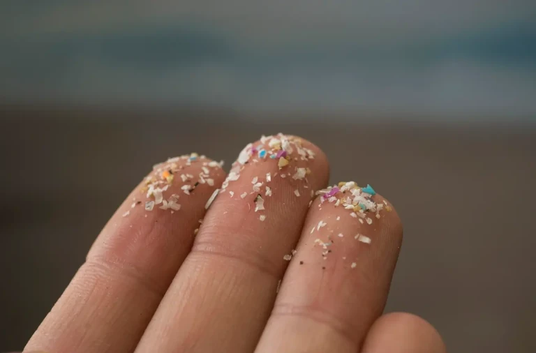 Microplastics on fingertips